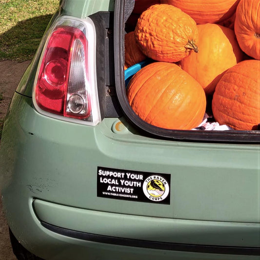 "Support Your Local Youth Activist" Bumper Sticker